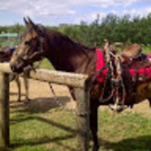 Meet your Posher, Renee